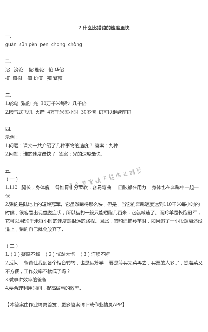 7什么比猎豹的速度更快 - 7 什么比猎豹的速度更快