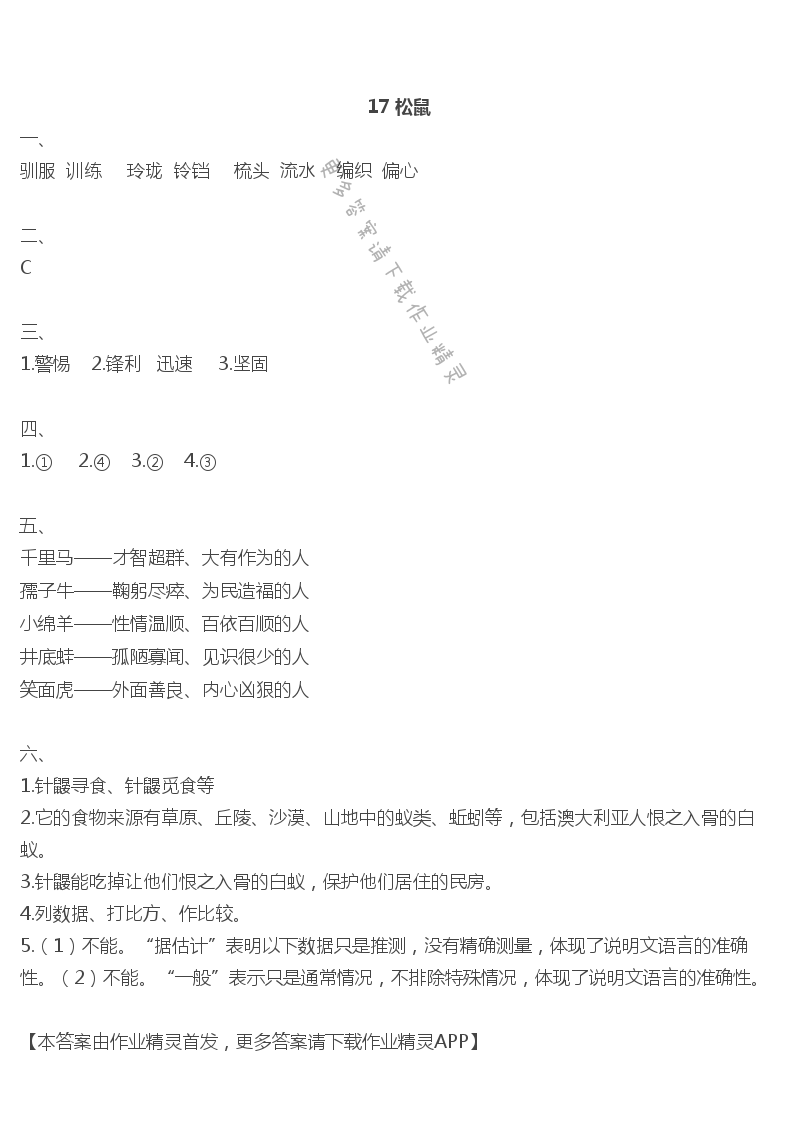 17松鼠 - 17 松鼠