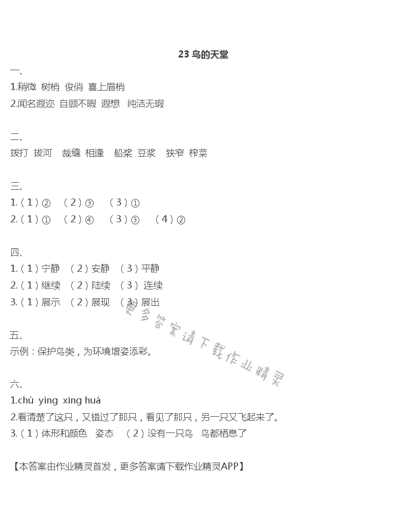 23鸟的天堂 - 23 鸟的天堂