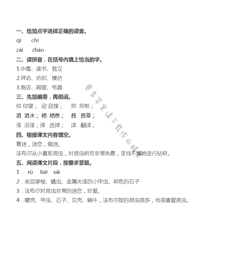 5 装满昆虫的衣袋 - 装满昆虫的衣袋补充习题答案