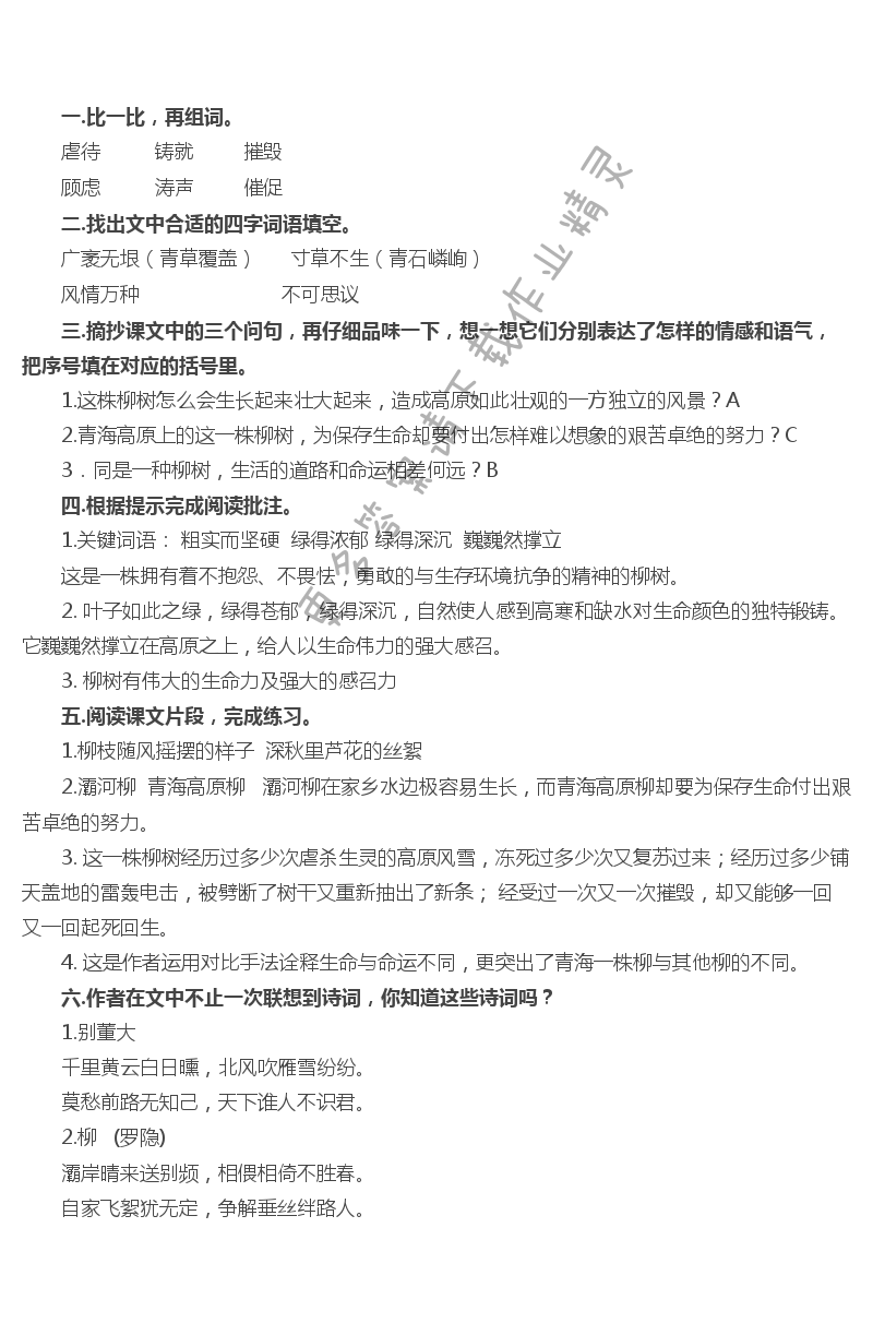 15 青海高原一株柳 - 青海高原一株柳补充习题答案