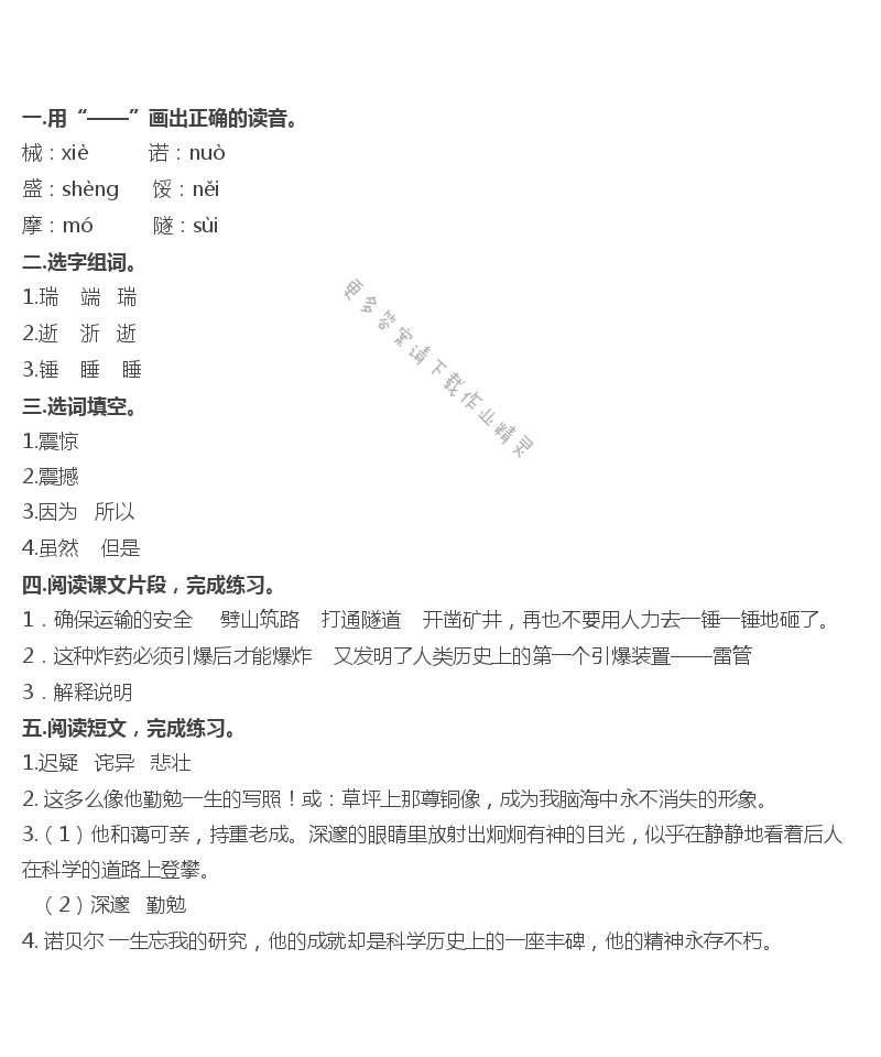 21 诺贝尔 - 诺贝尔补充习题答案