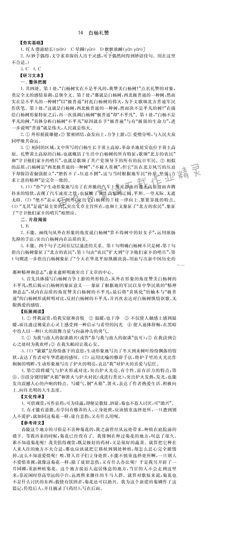 14.白杨礼赞 - 13.苏州园林补充习题答案
