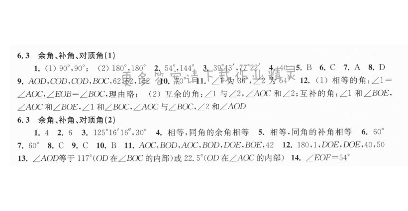 6.3余角、补角、对顶角同步练习答案