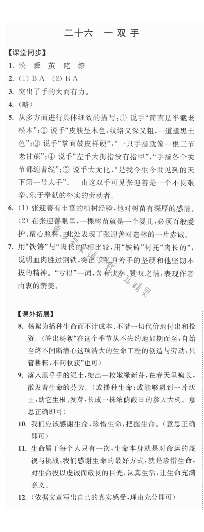 一双手同步练习答案