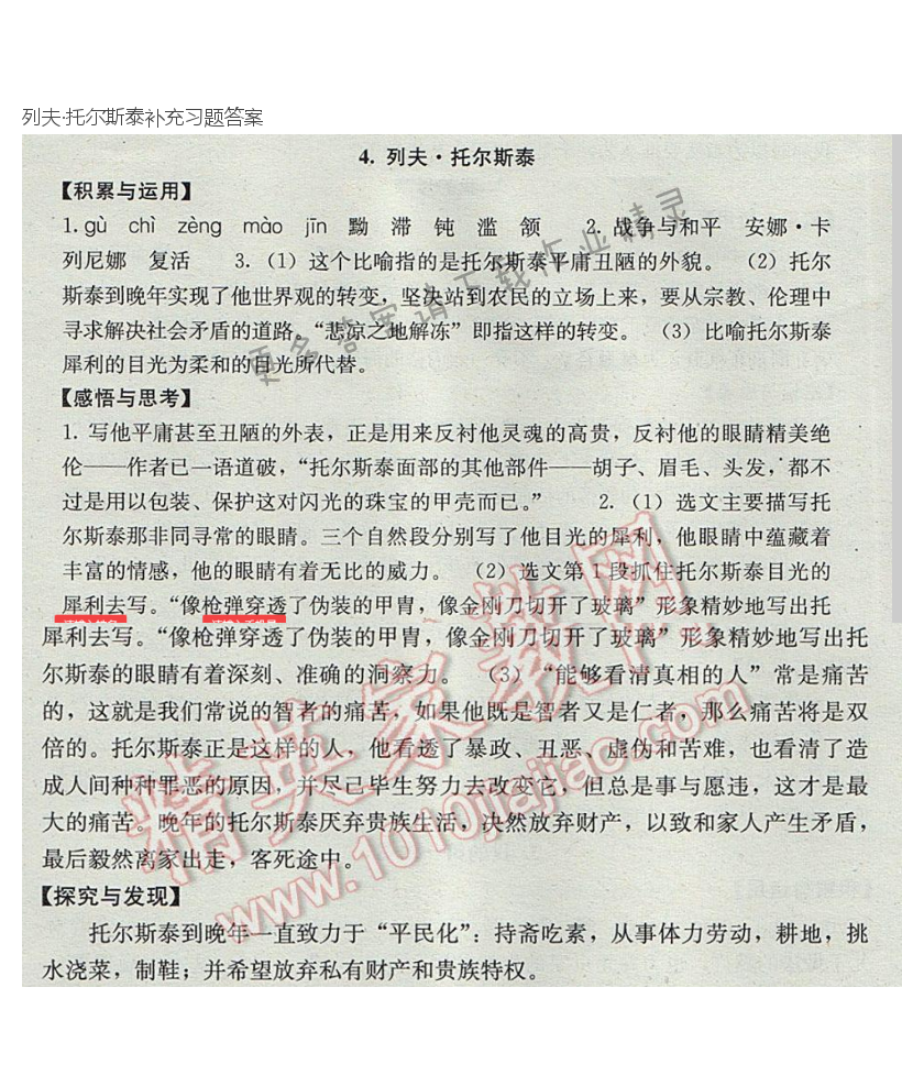 列夫·托尔斯泰补充习题答案