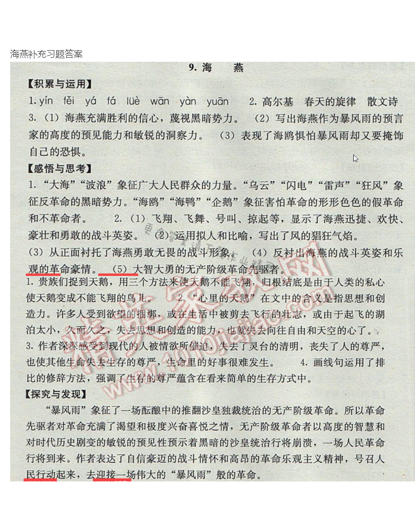 海燕补充习题答案