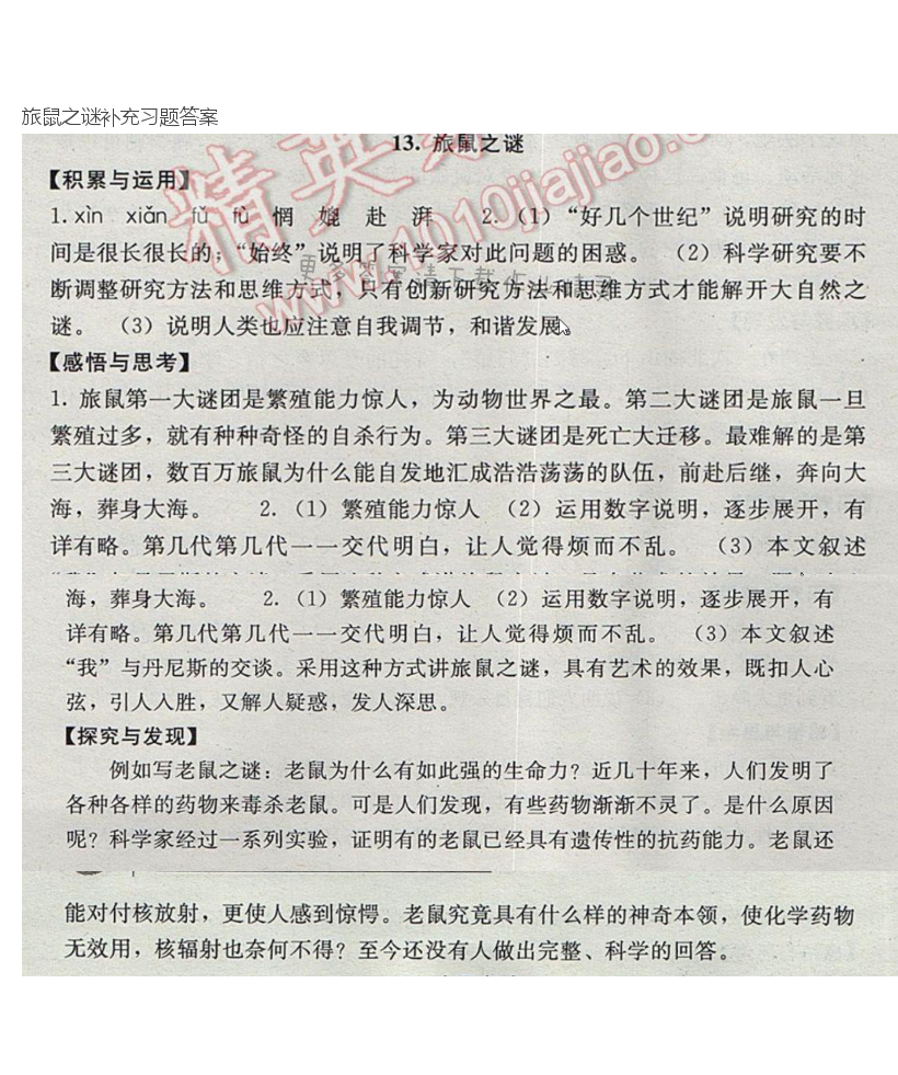 旅鼠之谜补充习题答案