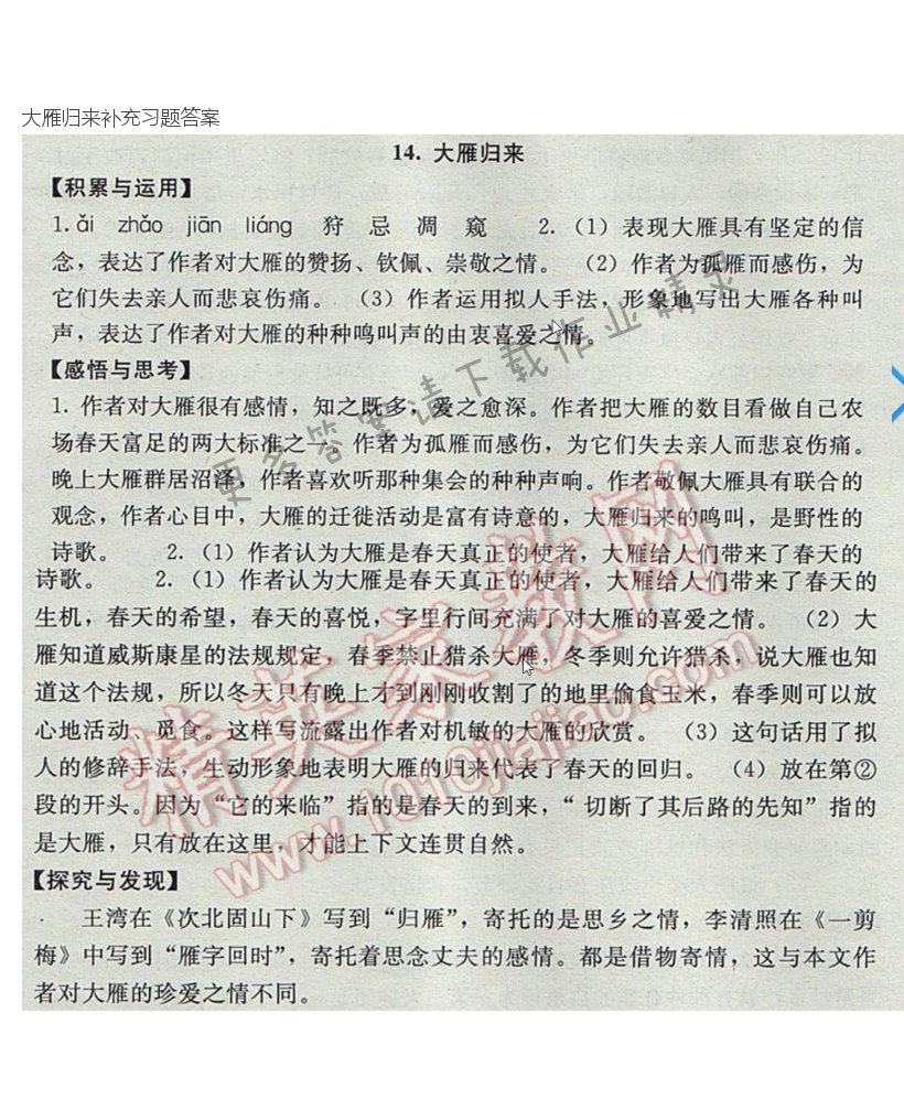 大雁归来补充习题答案