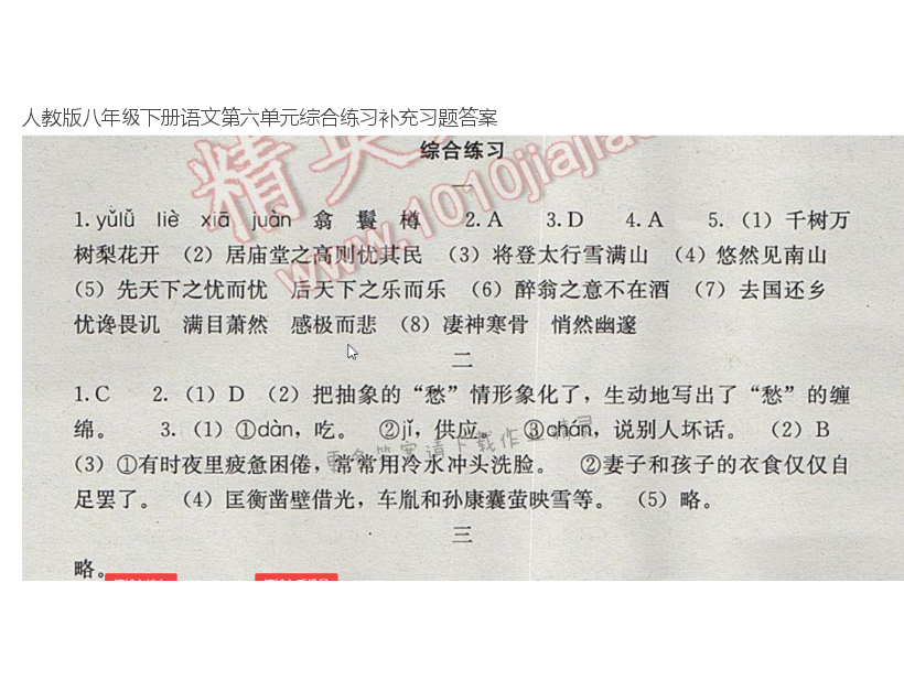 人教版八年级下册语文第六单元综合练习补充习题答案