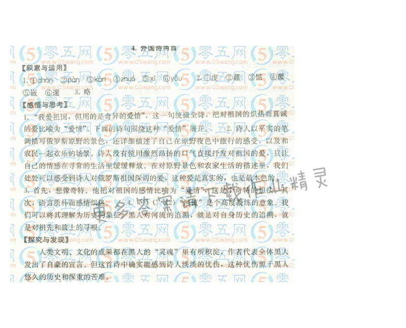 4.外国诗两首 祖国 （莱蒙托夫） 黑人谈河流 （休斯）补充习题答案