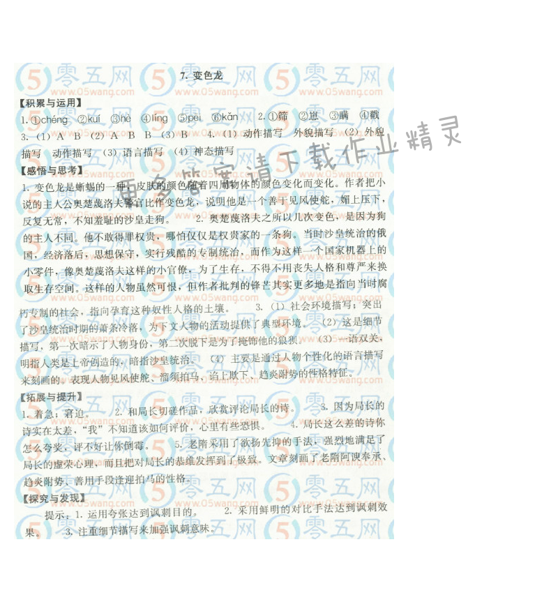 变色龙补充习题答案