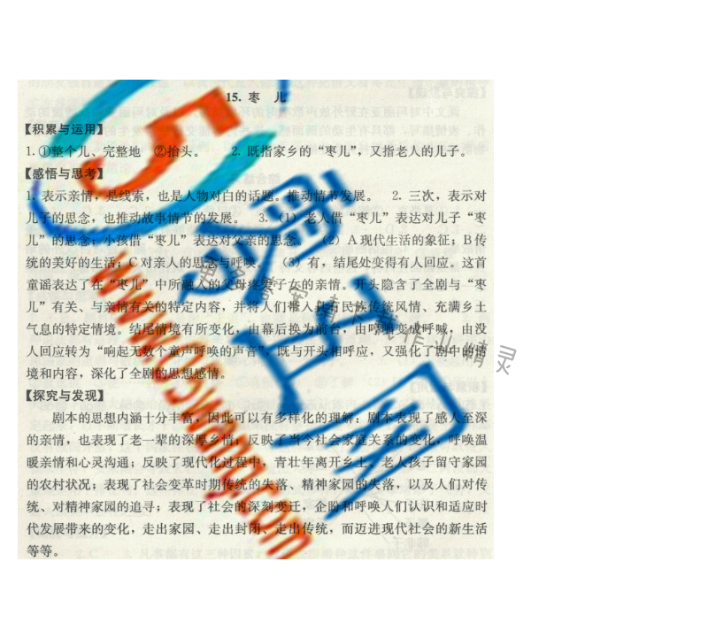 枣儿 补充习题答案
