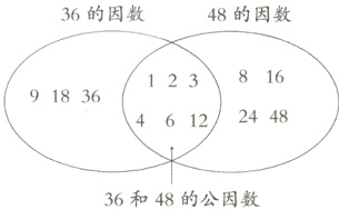 36和48的公因数