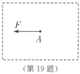 第19题