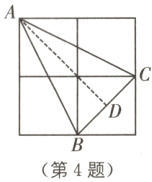 第4题