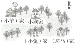 0o小兔家斑马家