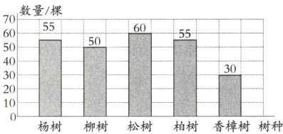 ;0杨树柳树松树柏树香樟树树种