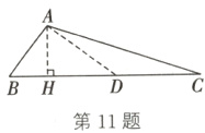 第11题
