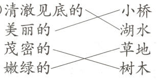 草地嫩绿的树木