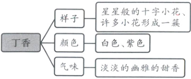 气味淡淡的幽雅的甜香