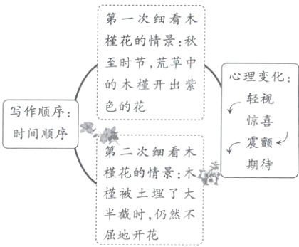半截时仍然不屈地开花