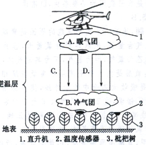 地表1直升机2温度传感器3枇杷树