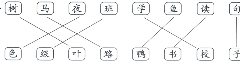 色级叶路鸭书校子