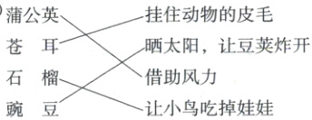 借助风力石榴让小鸟吃掉娃娃豌豆