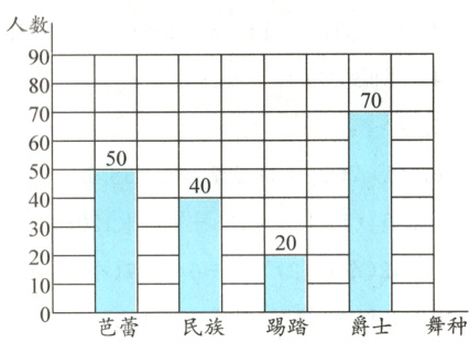 芭蕾民族踢踏爵士舞种