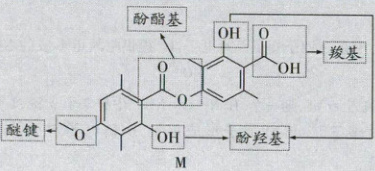 醚键OZOH酚羟基