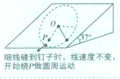 细线碰到钉子时线速度不变开始绕P做圆周运动