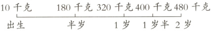 180千克320千克400千克480千克10千克半岁1岁1岁半2岁出生