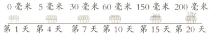 0毫米5毫米30毫米60毫米150毫米200毫米第1天第4天第7天第10天第15天第20天