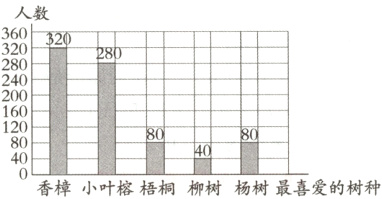 80008048香樟小叶榕梧桐柳树杨树最喜爱的树种