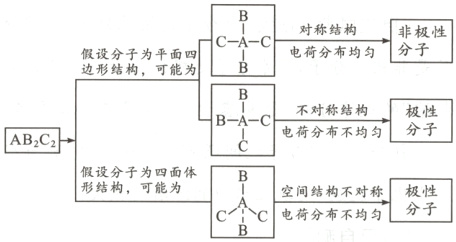 假子为面体B空间结构不对称电荷分布不均匀