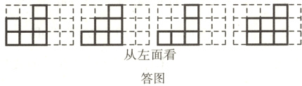 从左面看答图