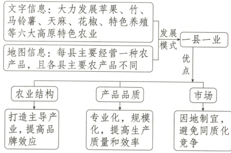 专业化规模因地制宜业提高品化提高生产避免同质化牌效应质量和效率竞争