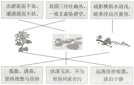 孤傲清高冰清玉洁不与远离俗世喧嚣坚持理想与信仰世俗同流合污淡泊宁静