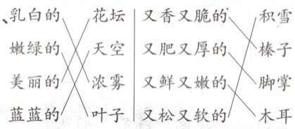 美丽的浓雾又鲜又嫩的脚掌蓝蓝的叶子又松又软的木耳