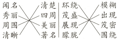 茂密美丽展现周围清晰围绕著名朦胧