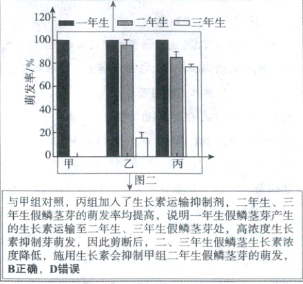 素抑制芽萌发因此剪断后二三年生假鳞茎生长素浓度降低施用生长素会抑制甲组二年生假鳞茎芽的萌发B正确D错误