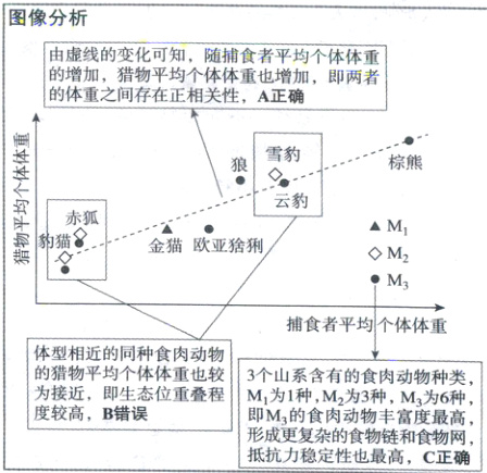MM1种食肉为物丰富最度较高B错误形成更复杂的食物链和食物网抵抗力稳定性也最高C正确