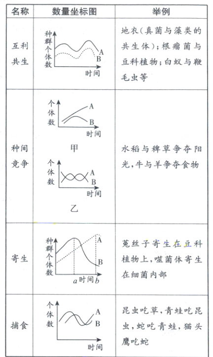 捕食虫蛇吃青蛙猫头鹰吃蛇时间