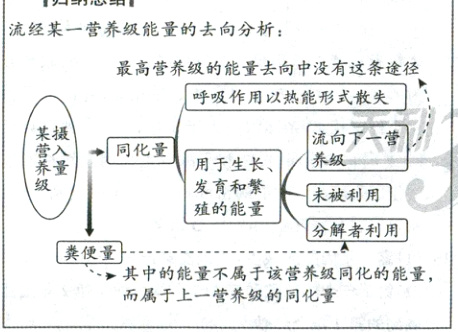 其中的能量不属于该营养级同化的能量而属于上一营养级的同化量