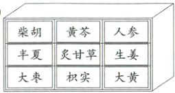 半夏炙甘草生姜大枣积实大黄
