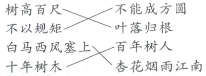 百年树人白马西风塞上杏花烟雨江南十年树木