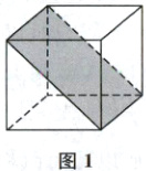 图1