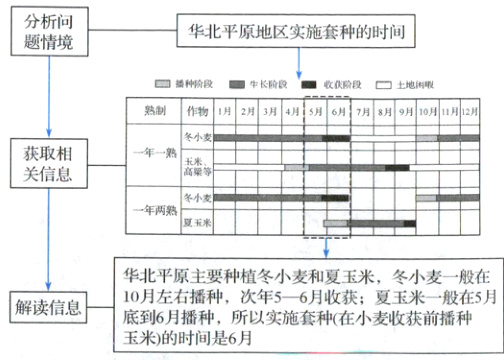 10月左有播种次年6种收小小夏玉一般在5月解读信息玉米的时间是6月