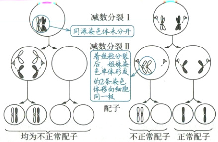 配子88均为不正常配子不正常配子正常配子